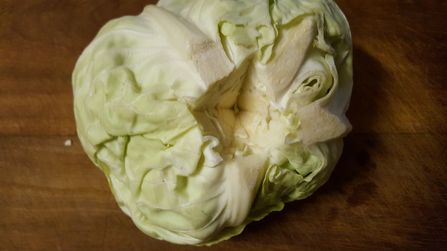 Ginger Pork & Cabbage Dumplings alittlebitofketo